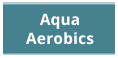 aa_green_v2.png