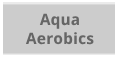 aa_grey_v2.png