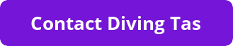 button_contact-diving-tas.png