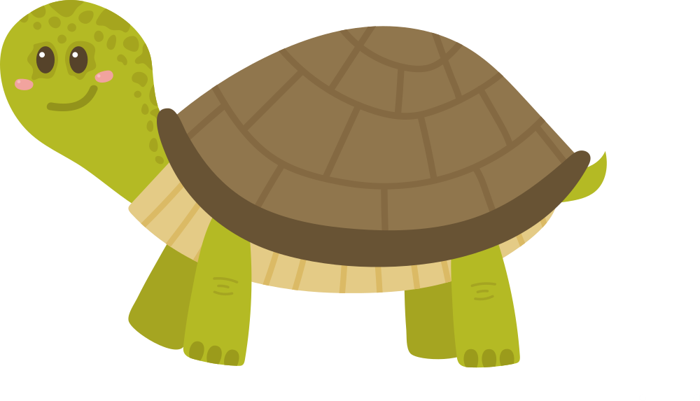 turtle.png